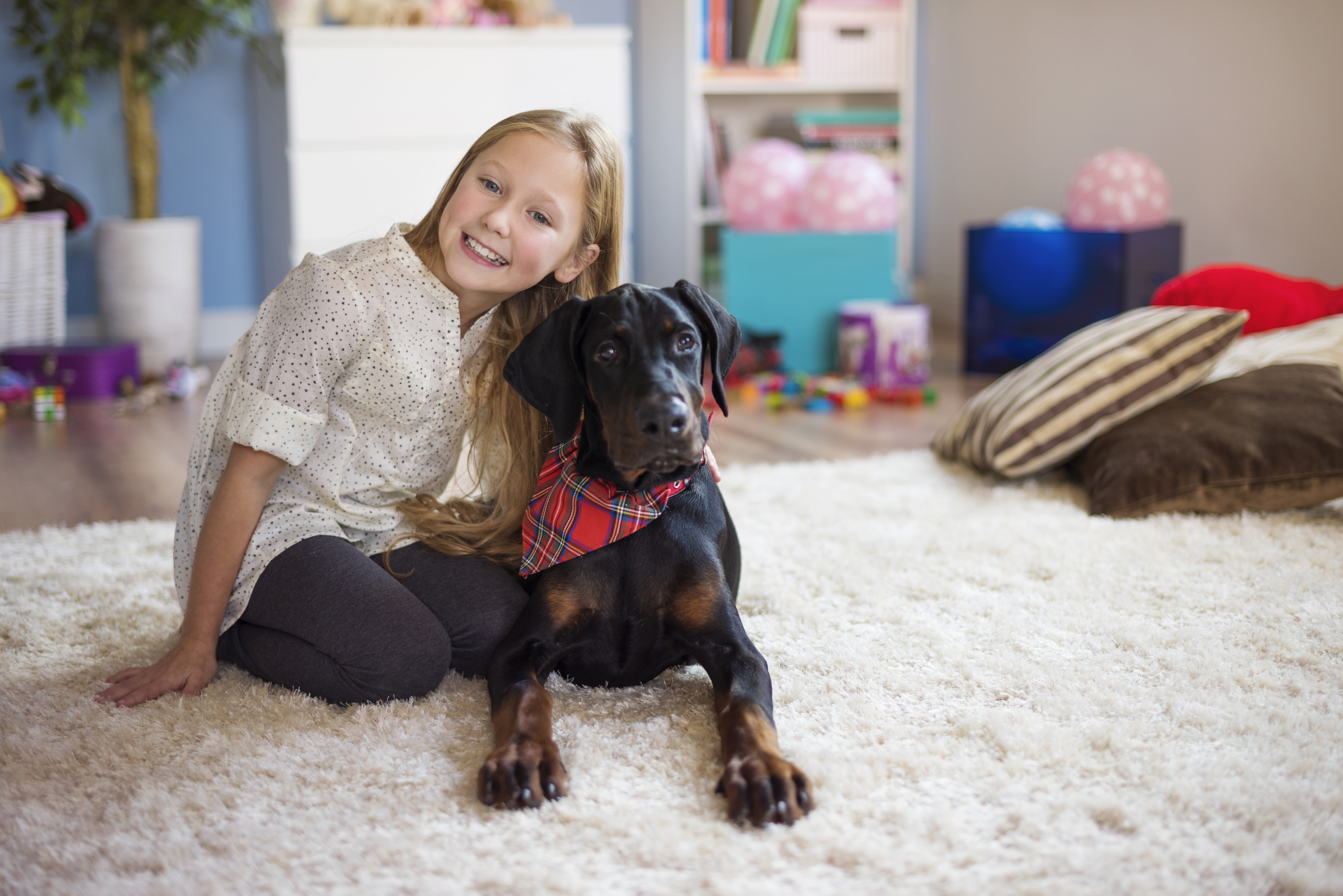 Pet Owners Guide: Keeping Carpets Clean with Furry Friends